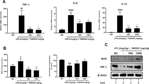 Tadios Suppresses Lps Induced Expression Of Pro Inflammatory Cytokines