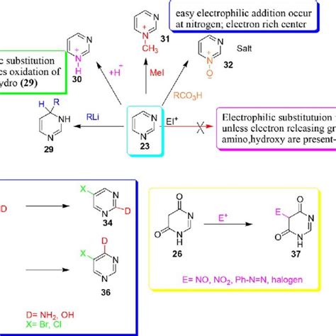 General reaction of pyrimidine ring 23 and 29-32, singly activated ...