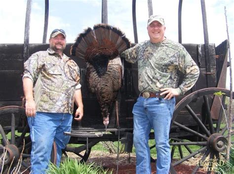 Illinois Hunting Pictures Photo Gallery Of Illinois Hunts Of