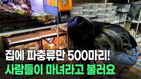 집에서 파충류 500마리와 함께사는 30대 여성 브리더 YouTube