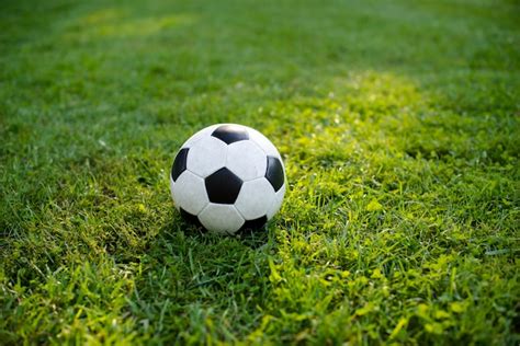 Balón de fútbol sobre césped verde en el parque Foto Premium