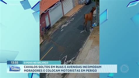 Cavalos Soltos Em Ruas Causam Perigo A Motoristas Na Zona Norte De