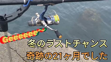 和歌山県冬のラストチャンス奇跡の21ヶ月連続でした 堤防釣り アオリイカ ヤエン釣り 釣り 南紀 釣りピチ 地磯 イカ釣り