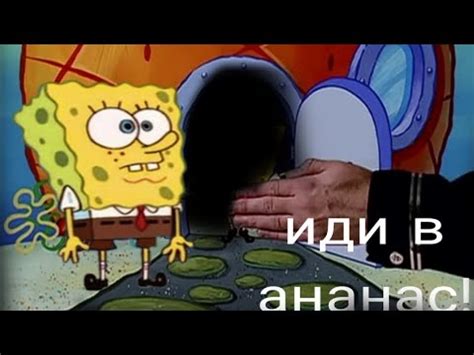 губка Боб юмористический мемный ролик.(с матами!) - YouTube