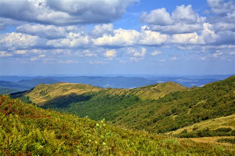 картинки пейзаж дерево природа трава горизонт пустыня гора