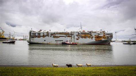 Beschadigd Schip Fremantle Highway Aangekomen In Rotterdam Wat Nu