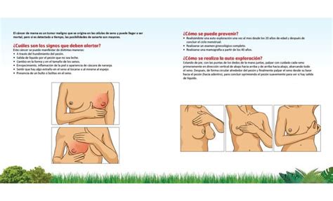 Cartilla Cáncer de mama PPT