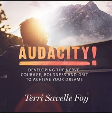 Audacity Developing The Nerve Courage Boldness And Grit To Achieve