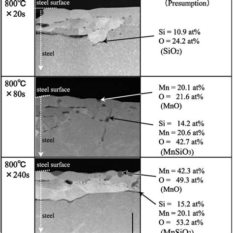 Tem Images And Edx Analytical Results Of Cross Section Of Samples