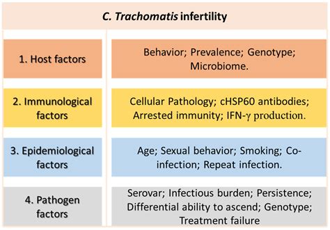 Chlamydia Bacterial Infection In Women