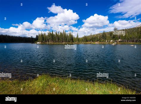 Elizabeth Lake Tuolumne Meadows Yosemite National Park California