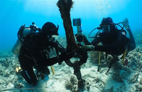 Field Management Of The Great Barrier Reef Marine Park Reef Authority