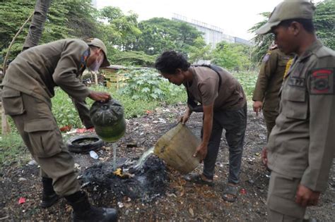 Tegakkan Perda Pengelolaan Sampah Satgas Pengendalian Lingkungan