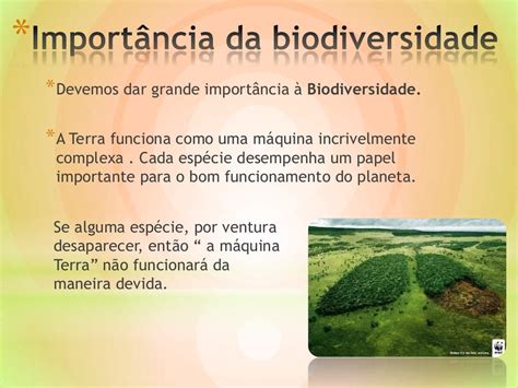 A Importância Da Biodiversidade Fdplearn