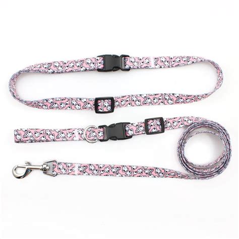 China Adjustable Hands Free Safety Running Dog Walking Belt Leash