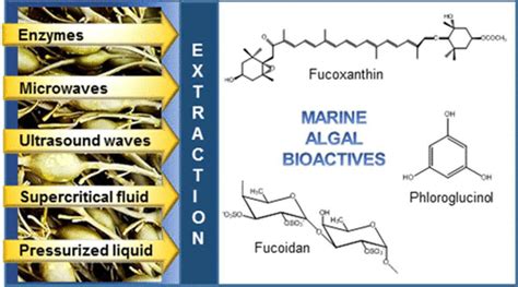 Application Of Novel Extraction Technologies For Bioactives From Marine