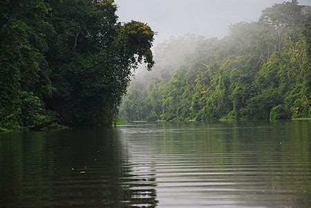 Les Canaux De Tortuguero Parc National De Tortuguero C Te Cara Bes