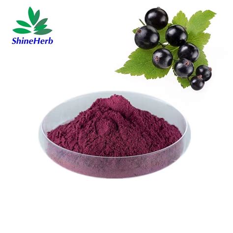 Natural Blackcurrant Extract Black Currant Extract Anthocyanin