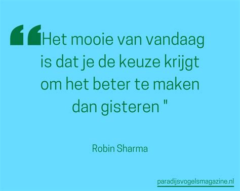 Goedemorgen Quotes Paradijsvogels Magazine