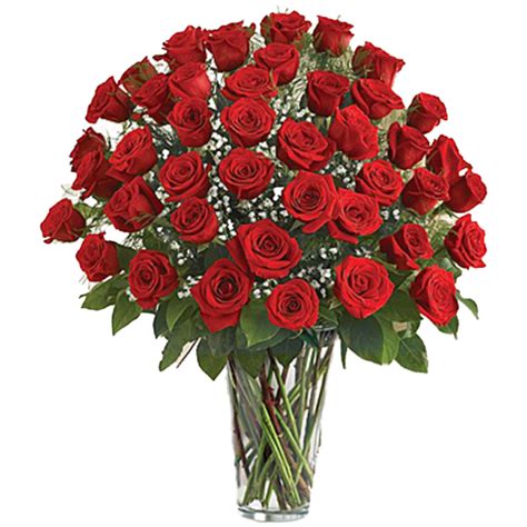 48 Roses Arrangement Designed By Award Winning Karins Florist