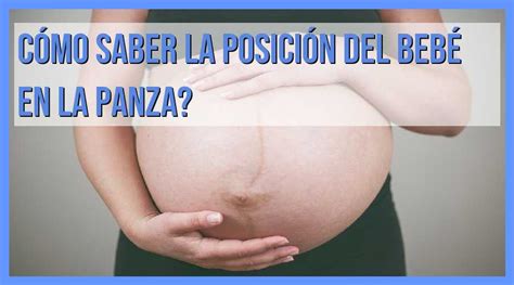 Descubre Cómo Saber La Posición Del Bebé En Tu Vientre Mundo Bebe