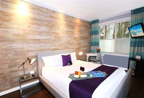 Hotel Shelley New 2024 Review The Gay Passport