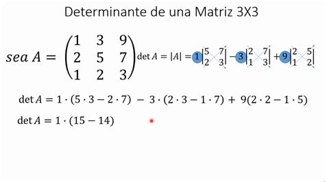 Calcular Determinante De Matriz Fdplearn