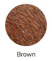 Pomapoo: Your Complete Guide