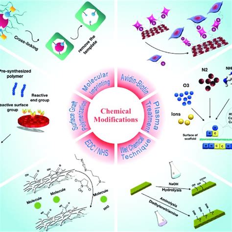 Schematic Representation Of Different Chemical Surface Modification Download Scientific Diagram