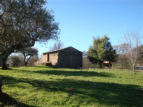 Quintas e casas rústicas Quintinha T1 à venda em Freixial e Juncal do