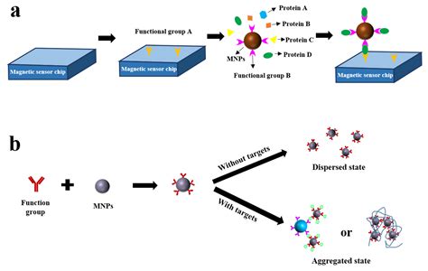 Chemosensors Free Full Text Recent Advances In Magnetic