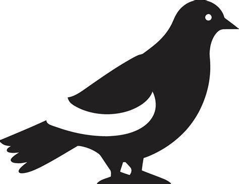 Serene Skies Pigeon Vector Art For Peaceful Designs Pigeon Vectors In