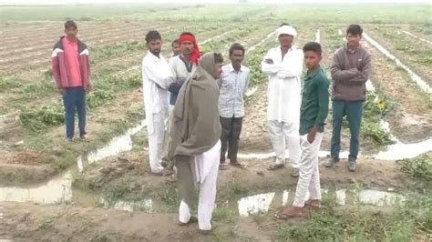 Sirsa Dc Farmers Get Compensation Damaged Crops Due To Unseasonal Rains