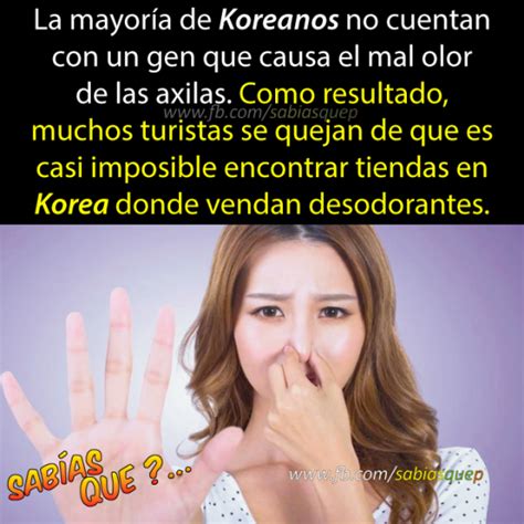 ¿sabias Que Wtf Fun Facts True Facts Curious Facts Teaching Quotes Pinterest Memes Stephen