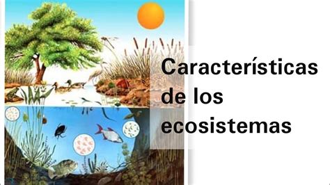 Características generales de los ecosistemas y su aprovechamiento