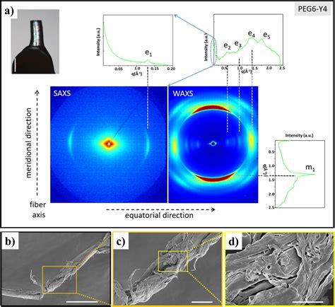 A Fiber Image White Marker Corresponds To Mm Saxs And Waxs D