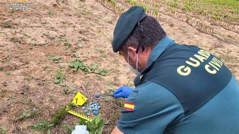 La Guardia Civil Detiene A Un Hombre Por Colocar Cebos Envenenados En