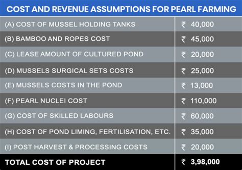 Pearl Farming in India - Process, Investment Cost & Margins