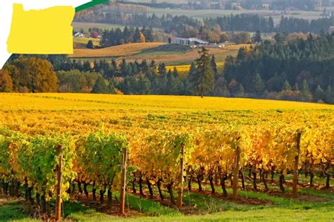 Oregons Farm Real Estate Values Surge Past National Average