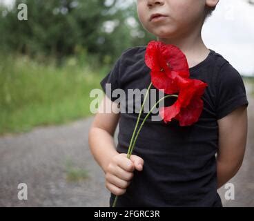 Símbolo de amapola del Día del Recuerdo en la cruz de madera El 11th