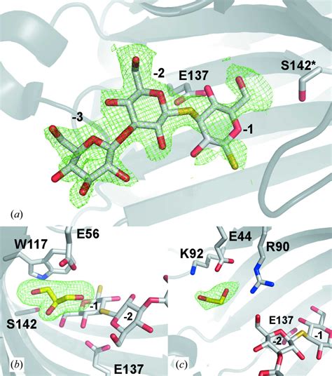 IUCr Structural And Biochemical Characterization Of The Laminarinase