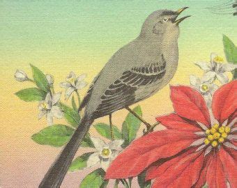 State Bird Of Florida The MOCKING BIRD Orange Blossoms And Poinsettia