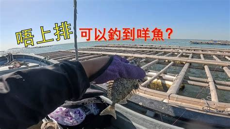 流記釣魚03 流浮山唔上蠔排釣 泥猛金鼓會唔會少d？ 斷一口黃立倉冇仇報 流記大量泥猛出沒 流浮山四匹仔十五匹金鼓 泥猛 Youtube