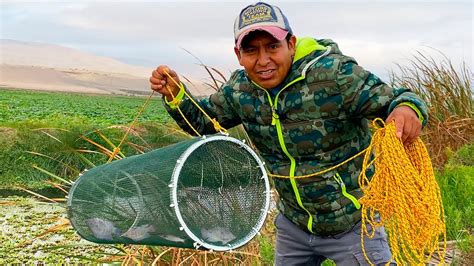 Trampa Para Peces De Agua Dulce Fish Trap YouTube