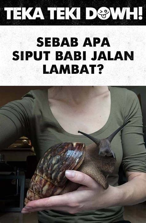Teka Teki Gambar Haiwan Lawak
