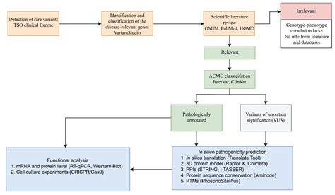 Ijms Free Full Text Identification And Classification Of Novel