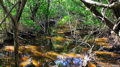 Everglades National Park SNAKE BIGHT TRAIL Bringing You America