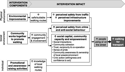 Conceptual Framework For A Community Based Multi Level Intervention