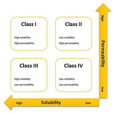 Biopharmaceutics Classification System Wikipedia