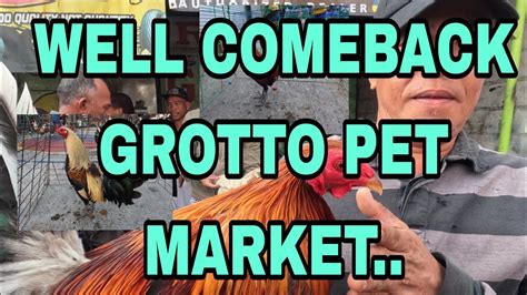 Well Comeback Grotto Pet Market Youtube